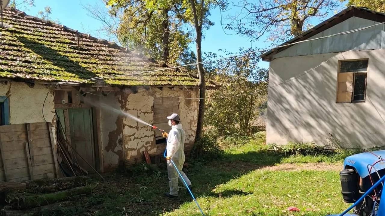 Düzce'de kahverengi kokarcaya karşı kışlak ilaçlaması başladı