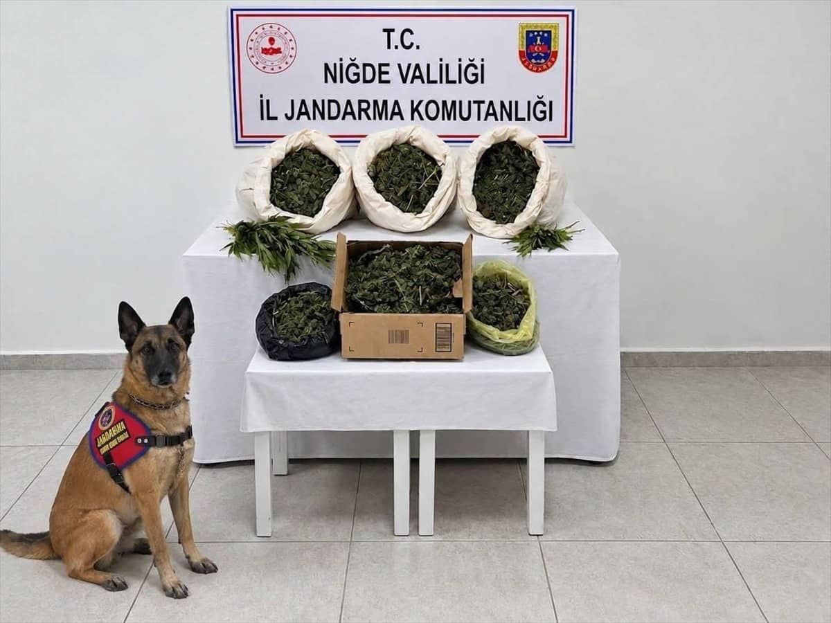 Niğde'de uyuşturucu operasyonu: 3 gözaltı