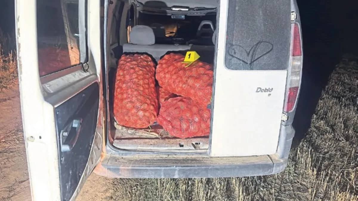 Afyonkarahisar'da soğan hırsızlığına suçüstü