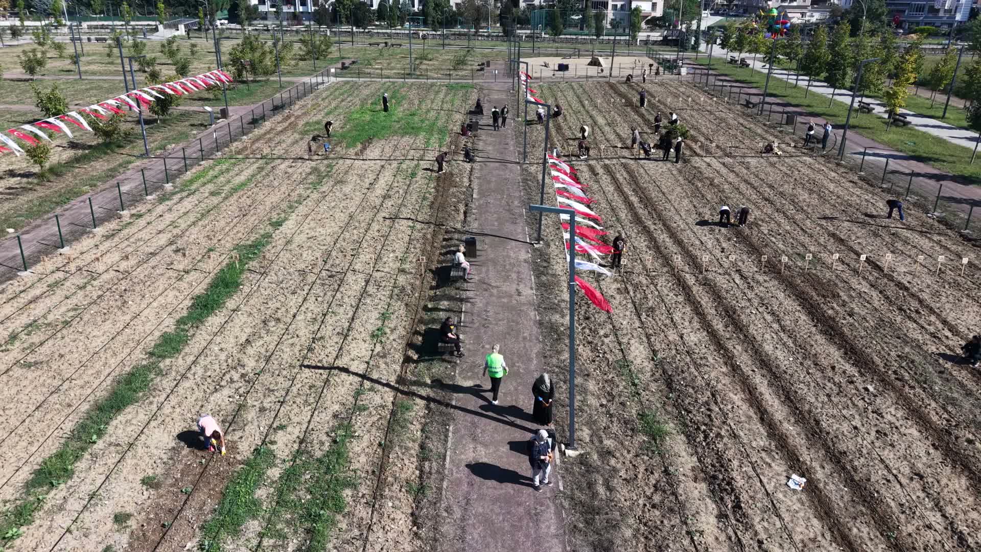 Yalova'nın ilk kent bostanı Bornova Belediyesi'nin desteğiyle açıldı