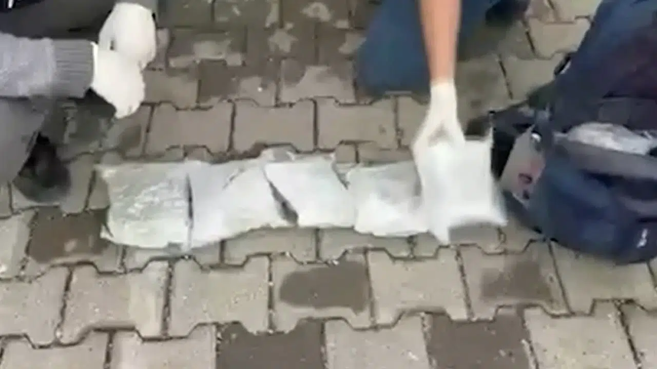 Siirt'te narkotik operasyonu: 5 kilo 600 gram skunk ele geçirildi